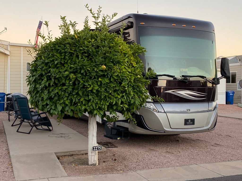 Mesa Regal RV Resort RV site