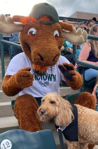 Murphy at the Missoula Paddleheads game